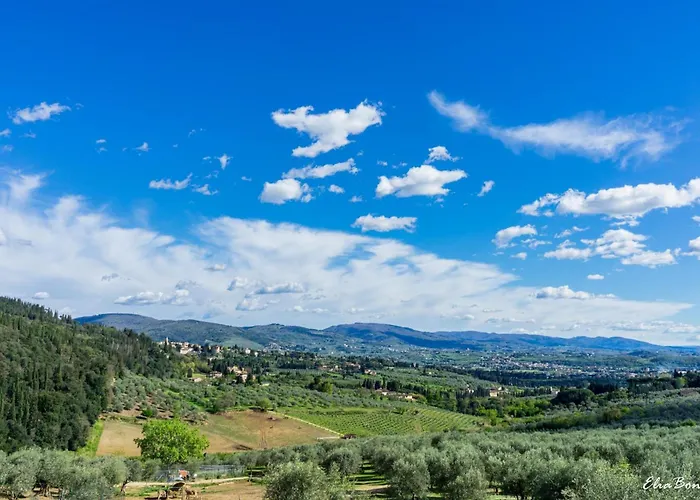 Maison d'hôtes Fattoria Di Maiano à Fiesole